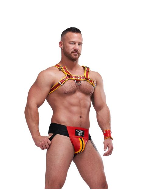 Leather Circuit Harness