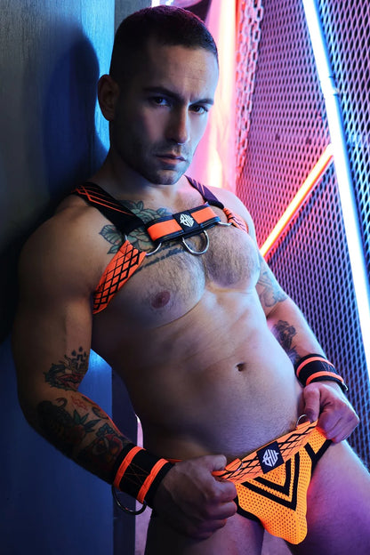 Revolution Bulldog Harness