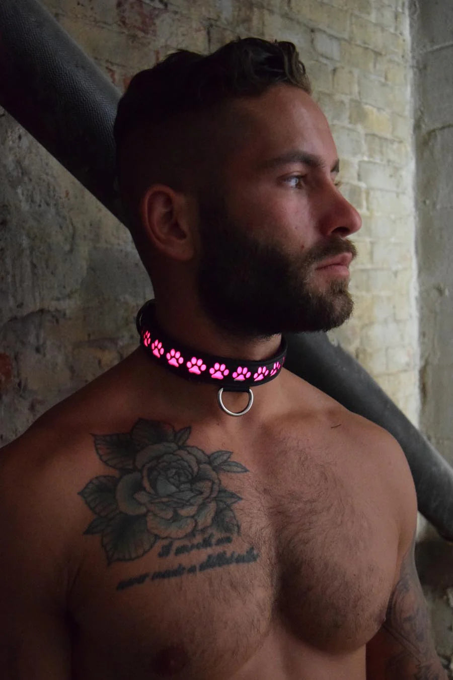 Poundtown Glow Pup Collar