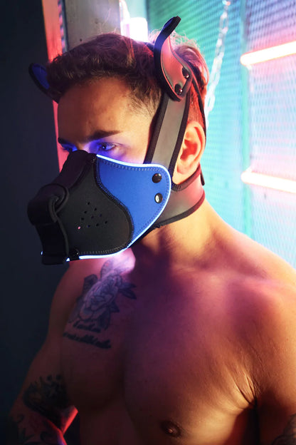 Poundtown Pup Mask 2.0