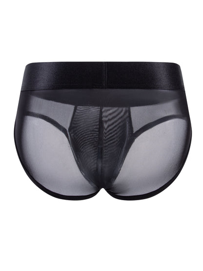 Ultra-Fine Mesh Briefs