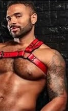 Red Adjustable Leather Shoulder Harness made of premium leather material with adjustable buckles for fit, and snaps that allow the two shoulder pieces to be adjusted or removed.  