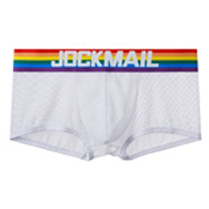 Pride Mesh Boxer
