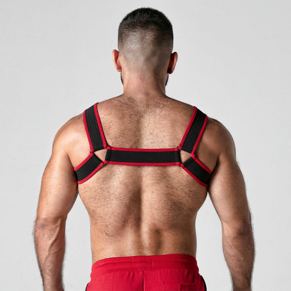 Look At Mesh Harness