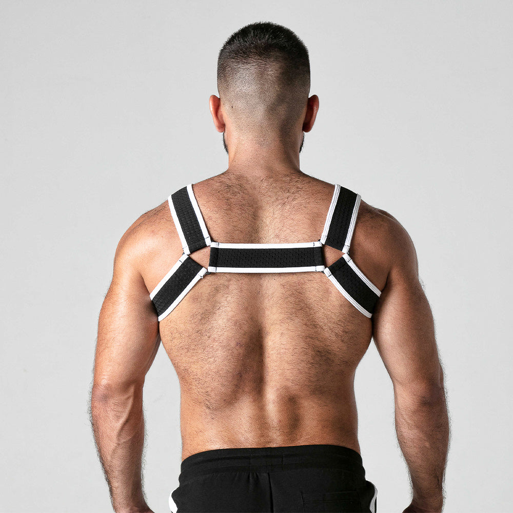 Look At Mesh Harness