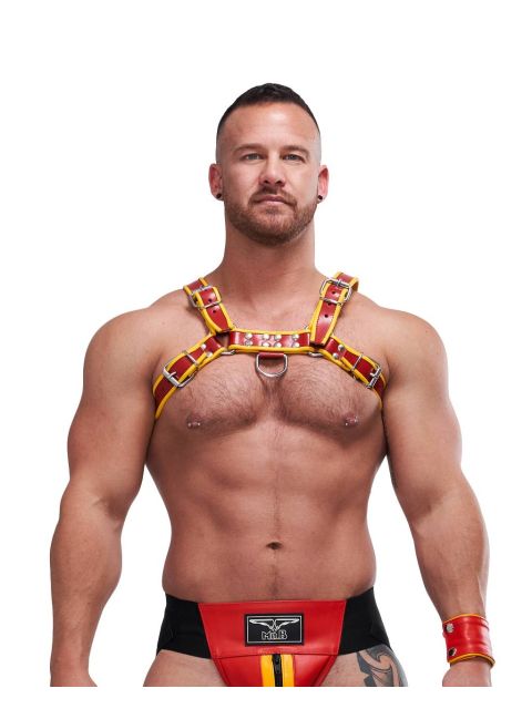 Leather Circuit Harness