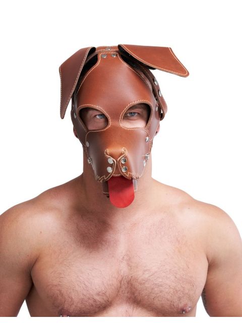 Floppy Dog Hood