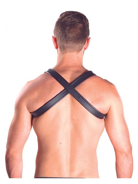 Leather X-Back Harness Premium