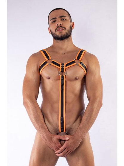 Neoprene Harness with Strap