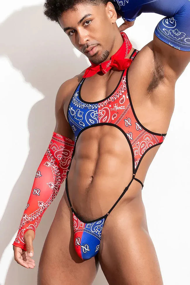 This bodice is made of polyester and has an eye-catching red and blue paisley pattern.  It comes with matching sleeves, one in red paisley and one in blue paisley.