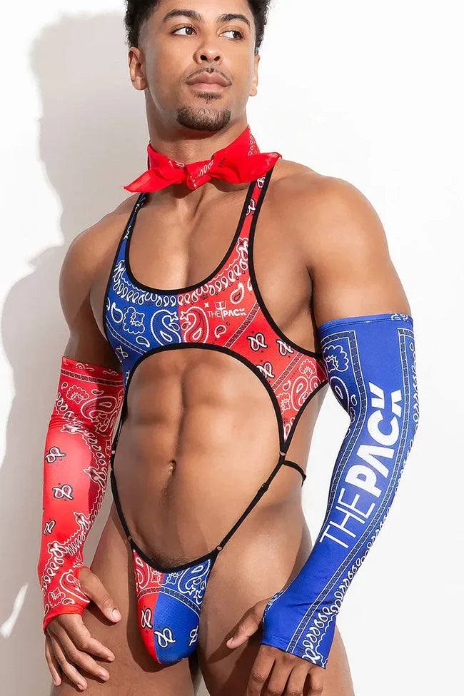 This bodice is made of polyester and has an eye-catching red and blue paisley pattern.  It comes with matching sleeves, one in red paisley and one in blue paisley.
